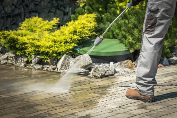 Best Roof Washing  in Cypress Lake, FL